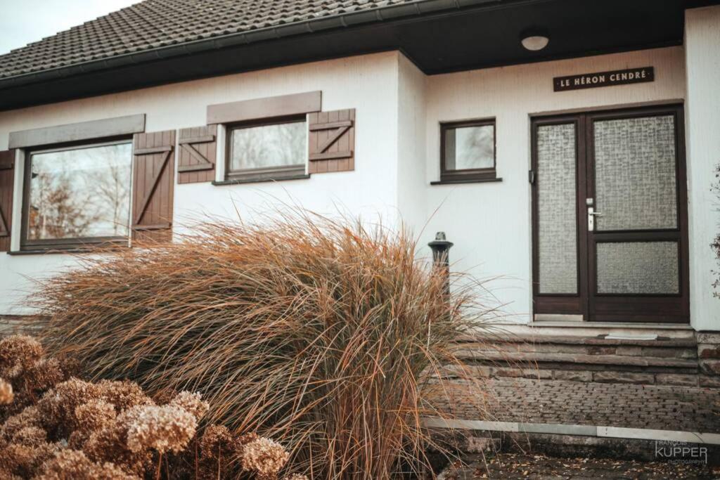Le Heron 28Pers, Malmedy- Home Cinema, Balneo, Sauna, Jardin Zewnętrze zdjęcie