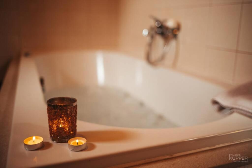 Le Heron 28Pers, Malmedy- Home Cinema, Balneo, Sauna, Jardin Zewnętrze zdjęcie