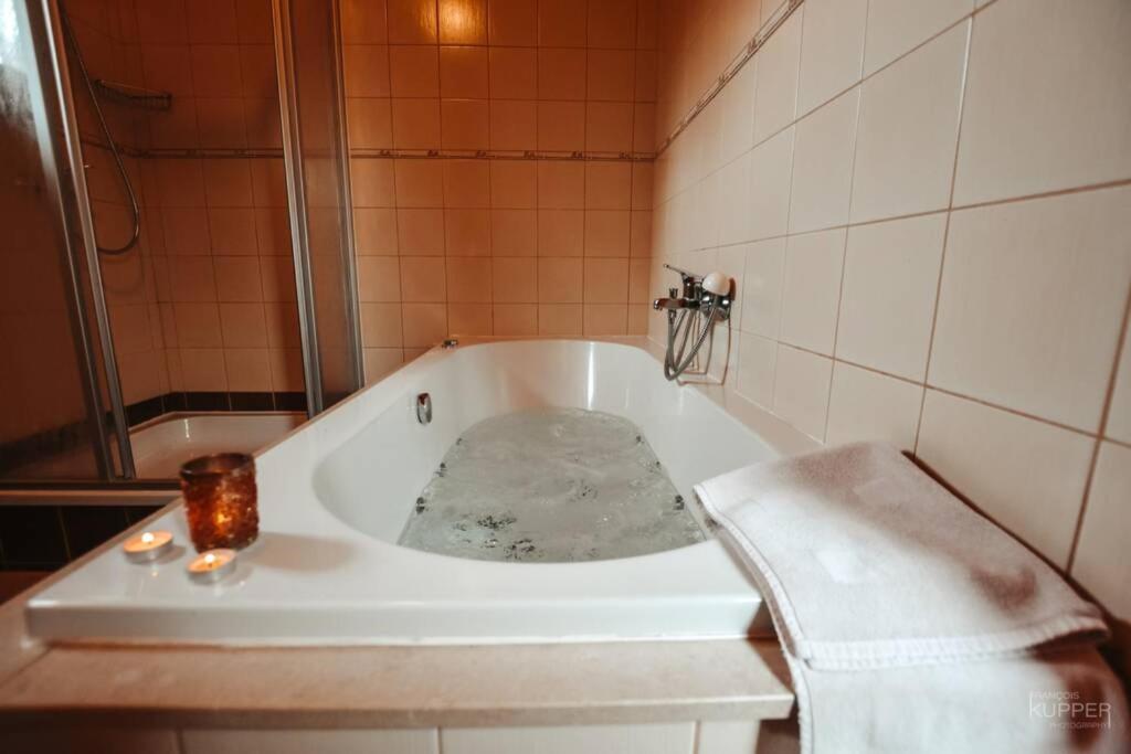 Le Heron 28Pers, Malmedy- Home Cinema, Balneo, Sauna, Jardin Zewnętrze zdjęcie