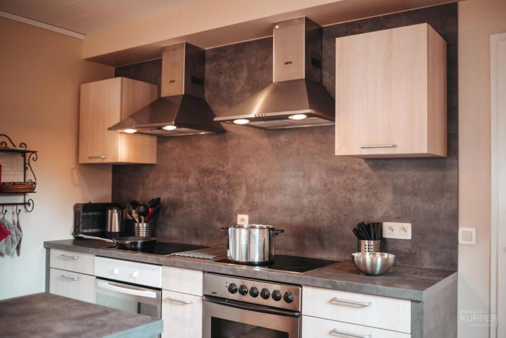 Le Heron 28Pers, Malmedy- Home Cinema, Balneo, Sauna, Jardin Zewnętrze zdjęcie